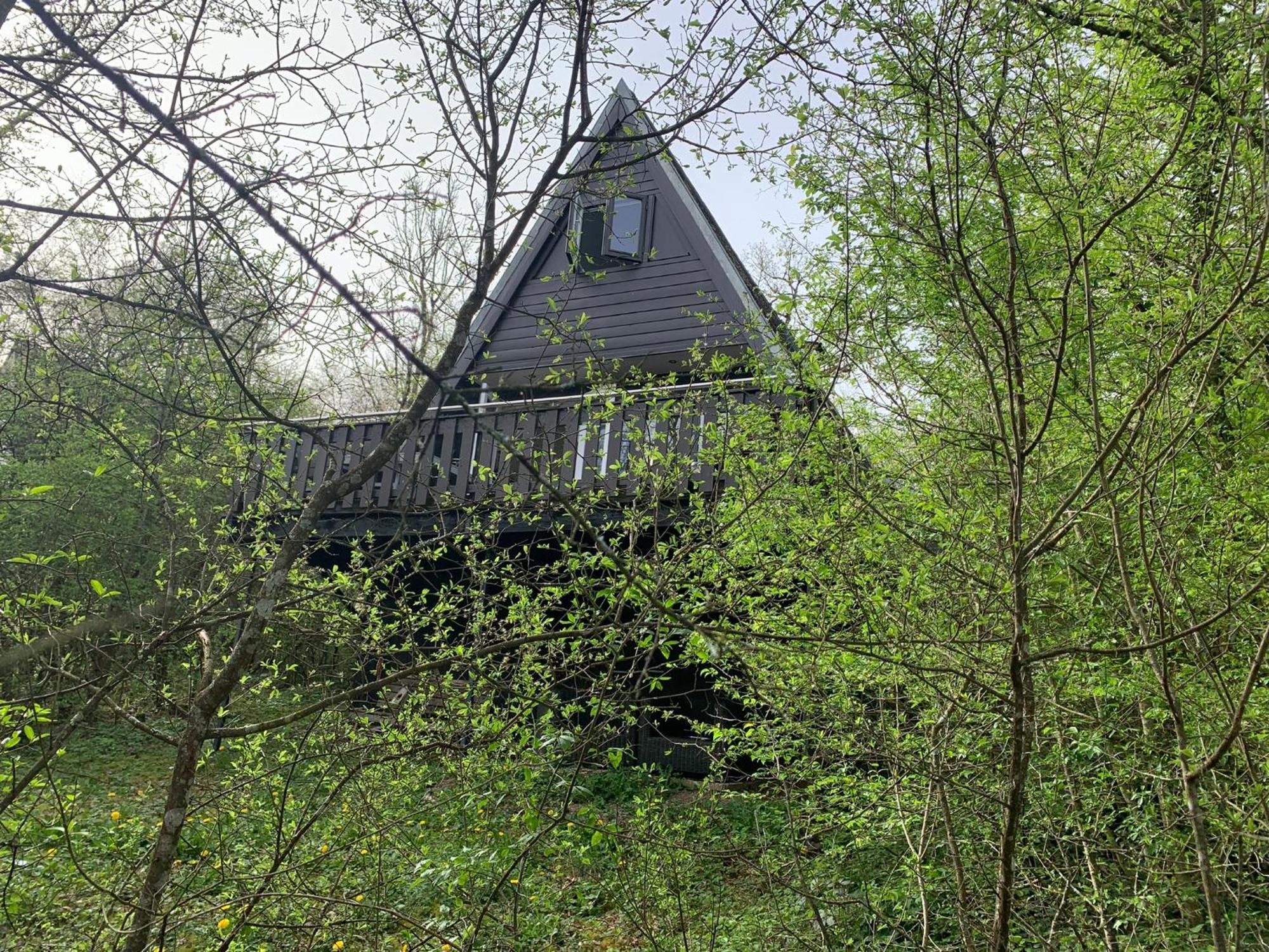 Heerlijk Vakantiehuis In Bos Bij Durbuy Zewnętrze zdjęcie