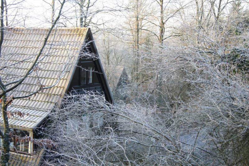 Heerlijk Vakantiehuis In Bos Bij Durbuy Zewnętrze zdjęcie